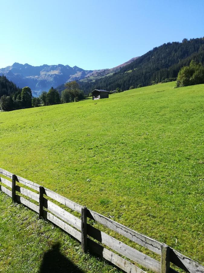 Hacklstoana Lejlighed Alpbach Eksteriør billede