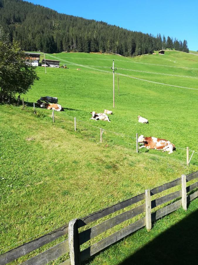Hacklstoana Lejlighed Alpbach Eksteriør billede