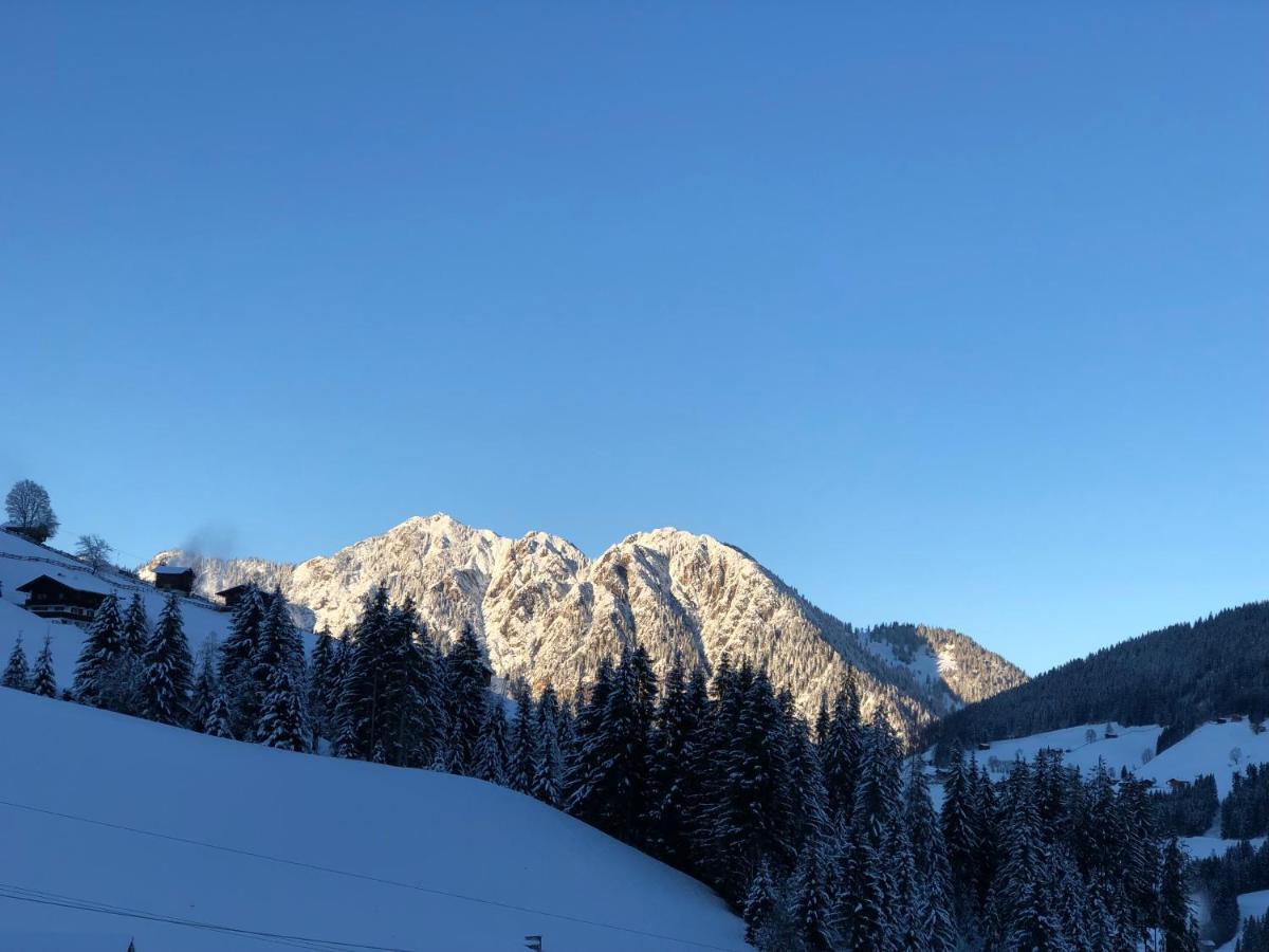 Hacklstoana Lejlighed Alpbach Eksteriør billede
