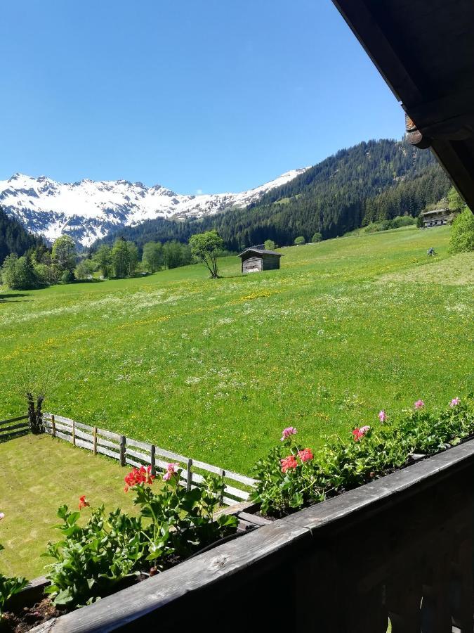 Hacklstoana Lejlighed Alpbach Eksteriør billede
