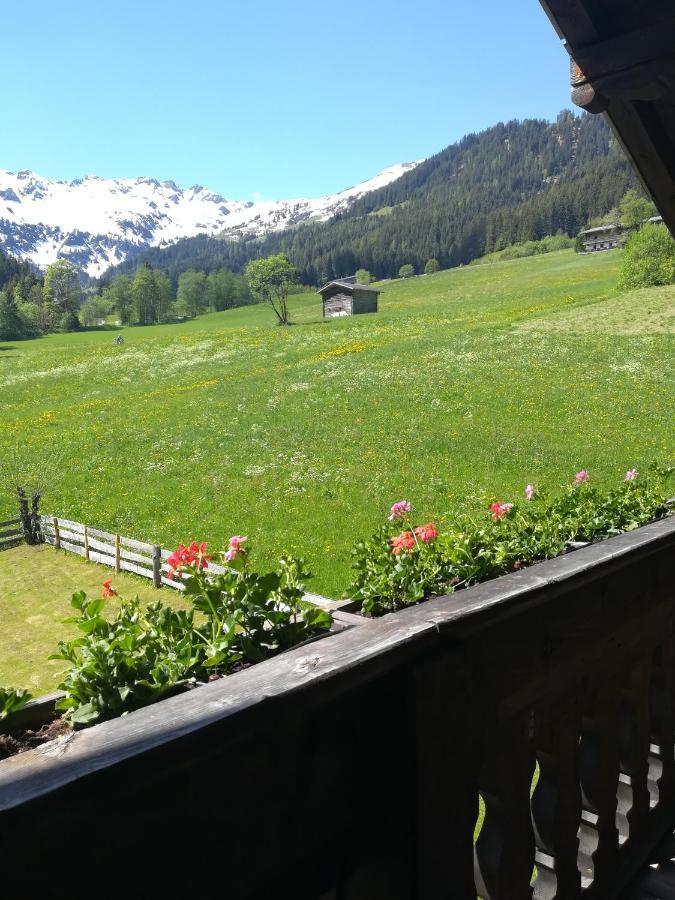Hacklstoana Lejlighed Alpbach Eksteriør billede